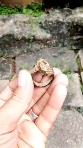Cincin Kuno Nogo Sosro: Desain Tradisional & Aksesori Budaya Jawa