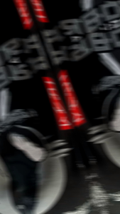 Kaos Burung Kicau Kacer