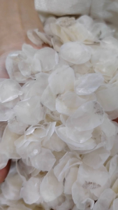 〔1kg〕深海野生顺丰鱼鳞片Deep sea wild scales