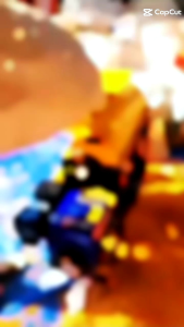 MESIN PERONTOK JAGUNG PJ20 + RODA (SIAP PAKAI DEASEL BENSIN 6.5PK)