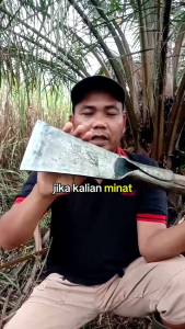 Dodos Sawit SPP 777: Alat Panen & Berkebun Sawit