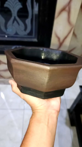 Pot Bonsai Small Segi Enam Unik Semi Cascade