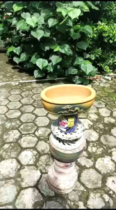 Pot Bonsai Semen Relief Oval Desain Unik