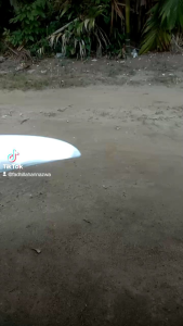 Egrek Sawit Bintang 1 Paksi: Panduan Lengkap