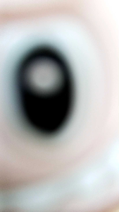 Sandal Sepatu Anak Labubu Sandal Bapau Terbaru Sandal Baim Anak Perempuan