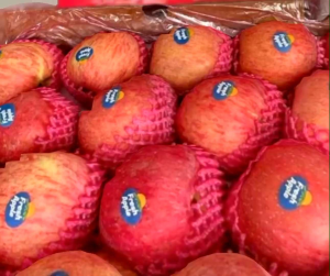 JV Apel puji fress premium  inport maniss 1kg..