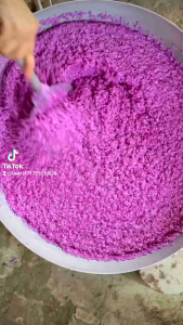 Bánh Tét Trà Cuôn 3 màu Nhiều Mẫu ( Bánh mới và hút chân không )