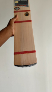 BANDOOK PLAYERS EDITION HARD TENNIS DOUBLE BLADE CRICKET BAT