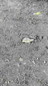 Helm Half Face Kyt Kyoto Black Glossy Ongkir Murah 1kg