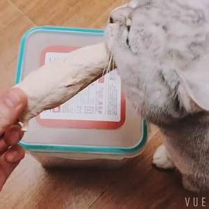 Freeze Dried Chicken Breast 宠物冻干鸡胸肉