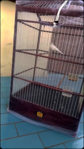 kerodong sangkar burung kotak transparan