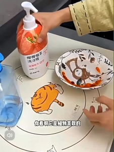 OHHDEER 900G Coconut Plant Extract Dishwashing Liquid Fruit Vegetable Dishwasher Detergent 椰椰植萃洗洁精