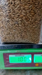 kemasan benih padi huma padi darat padi beras merah original
