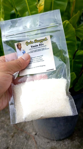 Gula Ruqyah Penglaris Al-Ansor Banten Gula Pasir Putih.