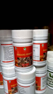 EZA Herba Natural Ektrak Sarang Semut 60 kp | obat tumor & kanker | sarang semut eza
