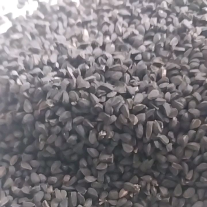 HERBAL BIJI JINTEN HITAM HABBATUSSADA 100gr