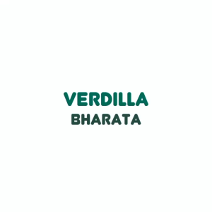 Obat Herbal Verdilla Bharata TBC Sesak Napas Paru Paru Batuk Berdarah ISPA Batuk Menahun