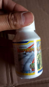 FUNGISIDA PARAGON 325 SC 100ml