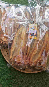 ปลาช่อนทะเลบางใหญ่ขนาด 500กรัม ปลาสดใหม่สะอาด