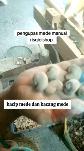 Pengupas Mede Manual: Alat Pengupas Buah Tahan Lama untuk Rumah Tangga