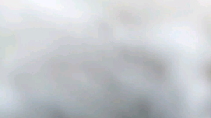 (READY STOK) *BOLEH PILIH WARNA * KAIN PELIKAT GAJAH DUDUK ASIA PRIMA (SONGKET) SIAP JAHIT KAIN COTTON