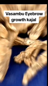 Homemade Vasambu Kajal growth Eyebrow