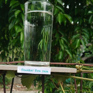 Gelas Kaca Polos: Pilihan Mewah untuk Kerajinan Tradisional