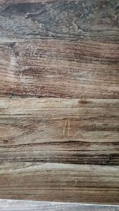 WINGLET BEAT DELUXE 2020 2021 2022 ALL NEW BEAT STREET ALL NEW BEAT WINGLET