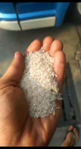 Beras Ramos 20 Kg/ Beras Ramos Murah 20Kg/ Beras Ramos Bandung 20Kg