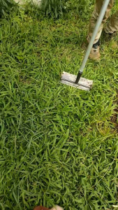 Alat Cangkul Garuk Gulma Rumput Liar + Gagang panjang 90 cm