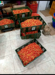 Sambal Instan Sachet 40gr Aneka Rasa & Kemasan Hemat