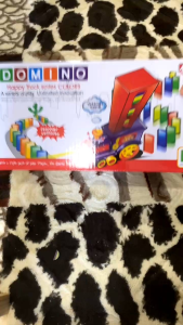 DOMINO TRAIN TOY SET