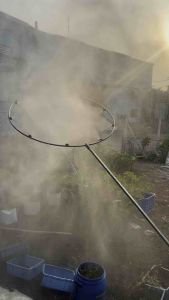 Vòng xịt chuối 8 béc - Vòng inox 8 béc tưới cây chuối