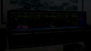Background Tinggi 60 cm Aquarium Motif Bolak Balik Random Real 3D Tanpa Putus Per Meter Wallpaper