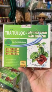 Trà nấm linh chi dây thìa canh (40 túi lọc)-Giảm béo phì và cholesterol trong máutăng sản sinh lượng Insulinổn định đường huyết đái tháo đường-đặc sản tây bắc 333