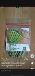 Okra Seeds Camiling: A Guide to Repacking & Planting