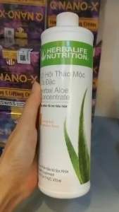 nước lô hội thảo mộc giúp khỏe hệ tiêu hóa.