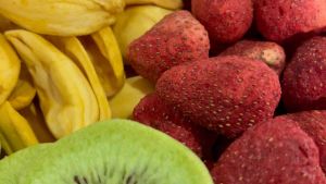 3เทพผลไม้ ฟรีซดราย Freeze Dry กีวี่อบกรอบ ขนุนอบกรอบ สตรอว์เบอร์รี่อบกรอบ (ขนาด50g/100g/200g)