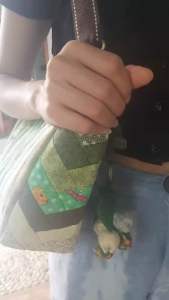 กระเป๋าผ้าต่อโทนเขียว งานศิลปะการต่อผ้าญี่ปุ่นโทนเขียว งานทำมือต่อชิ้นผ้า ใส่ของได้จุใจ มีช่องอเนกประสงค์หลากหลาย โทนสีเก๋ โดดเด่น สายปรับระดับได้ ทำออกมาใบเดียวเท่านั้น เป็นเอกลักษณ์เฉพาะตัว