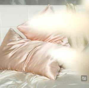 SG SIJIALI 19 Momme Mulberry Silk Pillowcase – Pure Color Embroidered AB Version Thickened Single Pillow Cover