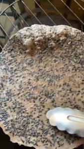 🎂 Bánh đa mè dừa Tây ninh (50 cái/134k) bánh chưa nướng