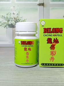 dilong kapsul ekstrak cacing 60 kapsul obat typus