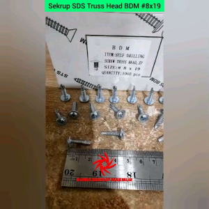 (50 pcs) Sekrup Roofing Truss Head SDS 8x19 mm / Skrup Truss Head 2CM