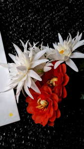 Plastik Zakat Fitrah muat 25/27/3kg isi 100 pcs