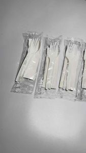 Drakes Packaging Plastic Spoon & Fork with Tissue Set Unbreakable Disposable Utensils Cutlery