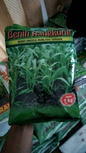 benih kangkung savana 50 biji kemasan murah