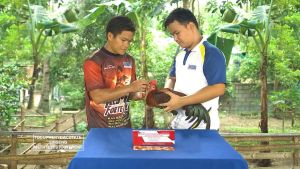 Red Gell Forte Vitamin Ayam || satu strip