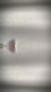 Móc khoá len Cáo Nick và Thỏ Judy nhân vật trong bộ phim Zootopia (ảnh thật)