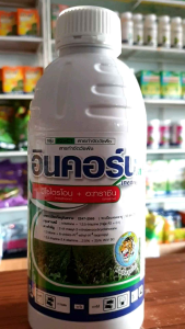 สารกำจัดวัชพืชในไร่ข้าวโพด. อินคอร์น ขนาด 1 L.+ สารจับใบ:free เสื้อ 1 ตัว>>พ่นทับข้าวโพดได้