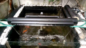 Pipah 3inch Waterfall Kolam Ikan Koi Hias 80cm Model T01